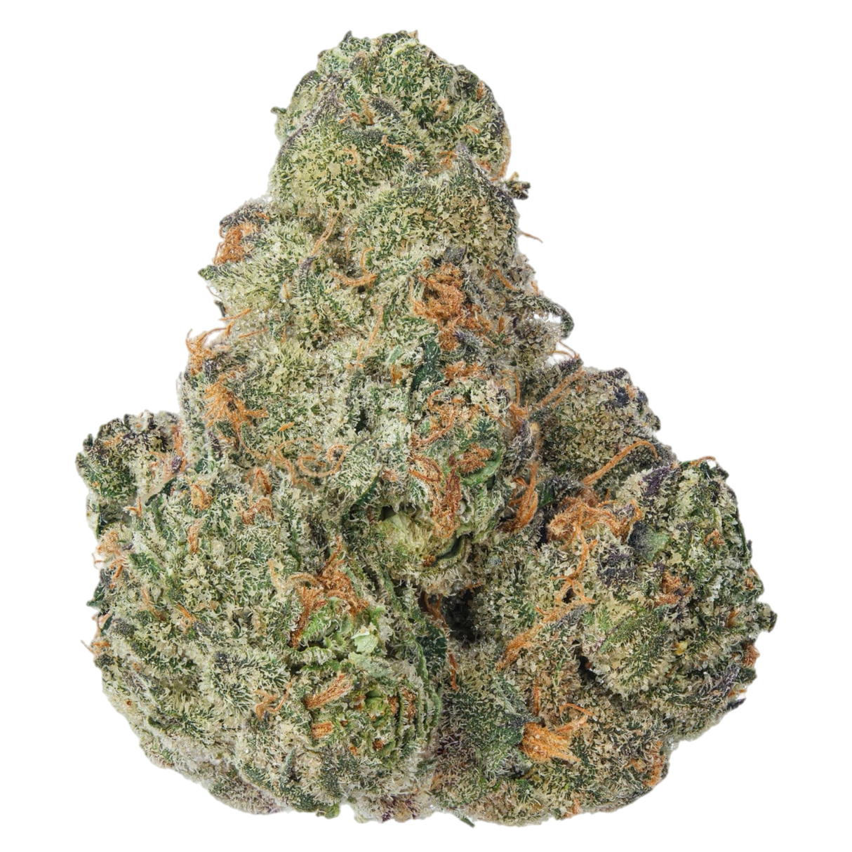 A close-up image of a cannabis bud with a snow-like appearance due to its white trichomes.