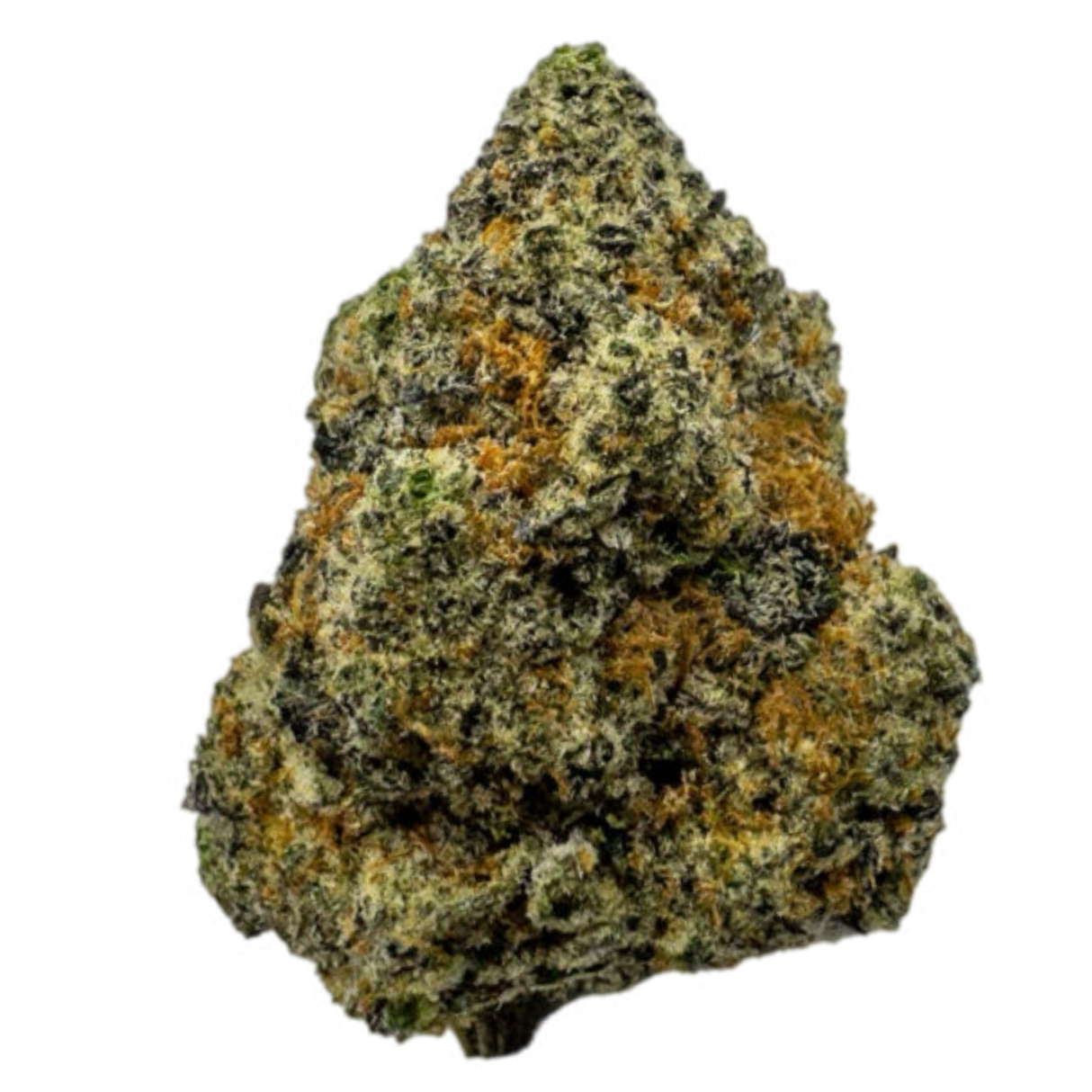 A close-up image of a cannabis flower with a brownish tint, featuring a dense, compact structure with trichomes visible on the surface.