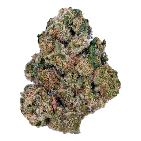 Close-up of a cannabis bud on a white background